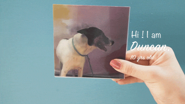 Holographic print of Duncan