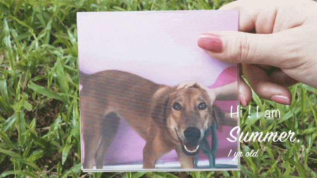 Holographic print of Summer