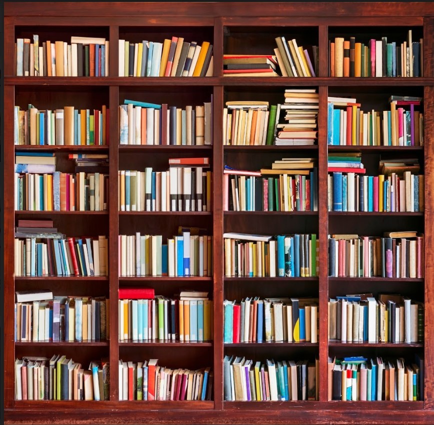 Library Bookshelf for academic backdrop background photoshoot photobooth posing for graduation celebration event schooling school