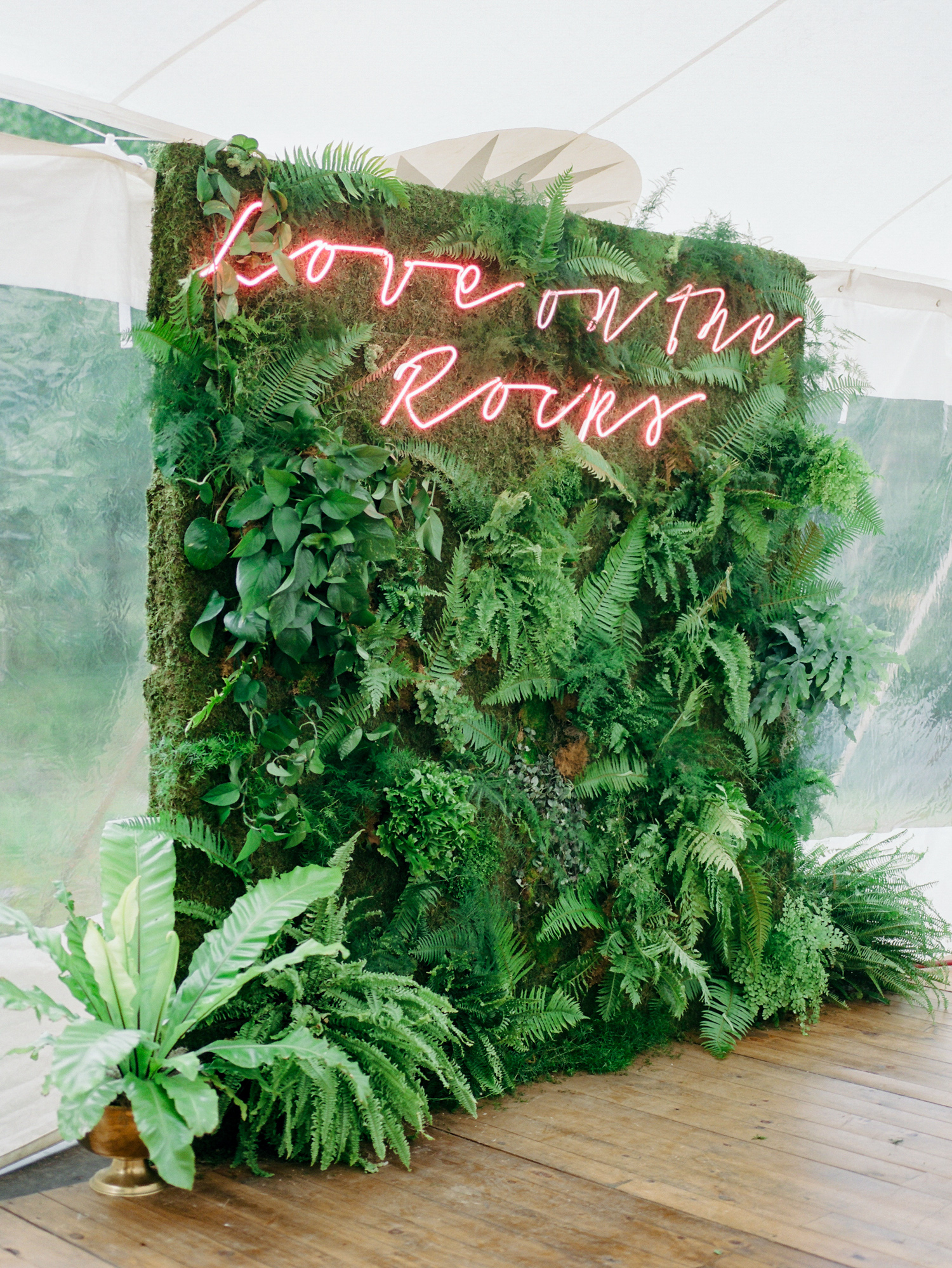 Neon Glow Green greenery wall hedge plant leaf display for photoshoot aspen wedding photobooth